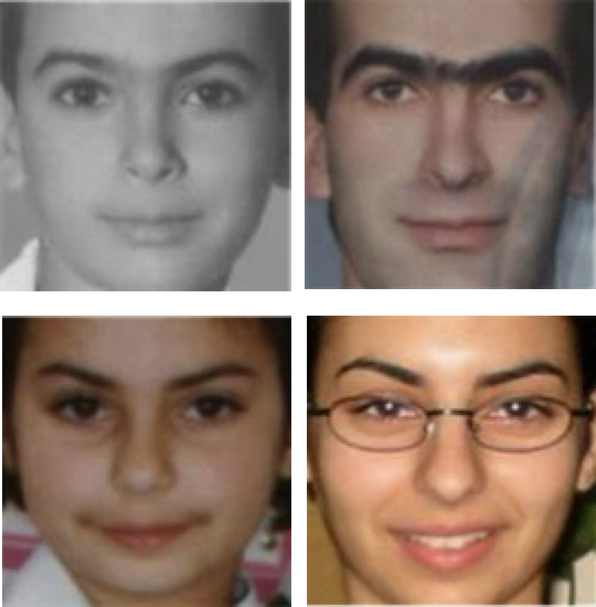 Multiview discriminative learning for age-invariant face recognition
